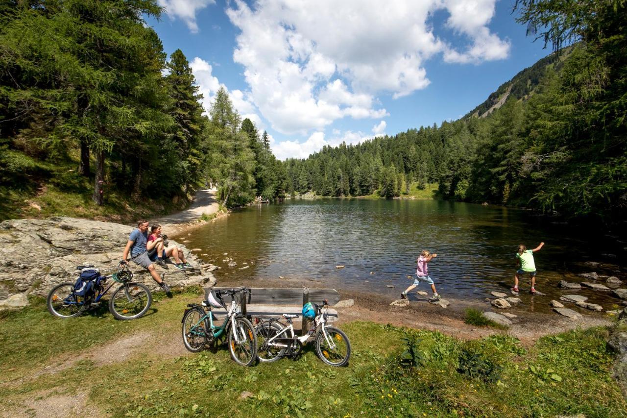 Naturpark Huette Mandl, Biobauernhof & Huettenurlaub Sankt Lambrecht Exterior photo